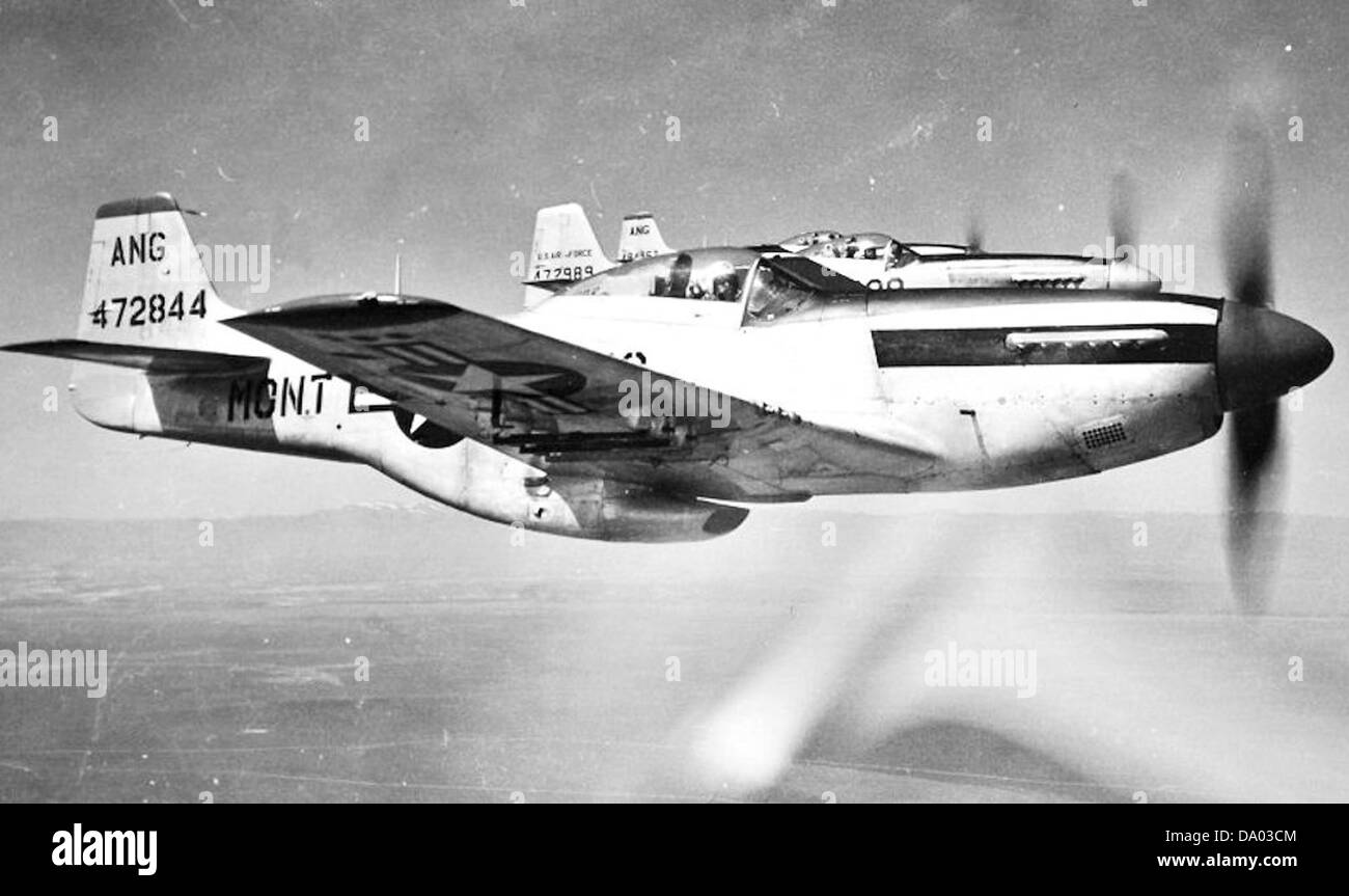 186th Fighter Squadron - North American F-51D-25-NA Mustang 44-72844 ...