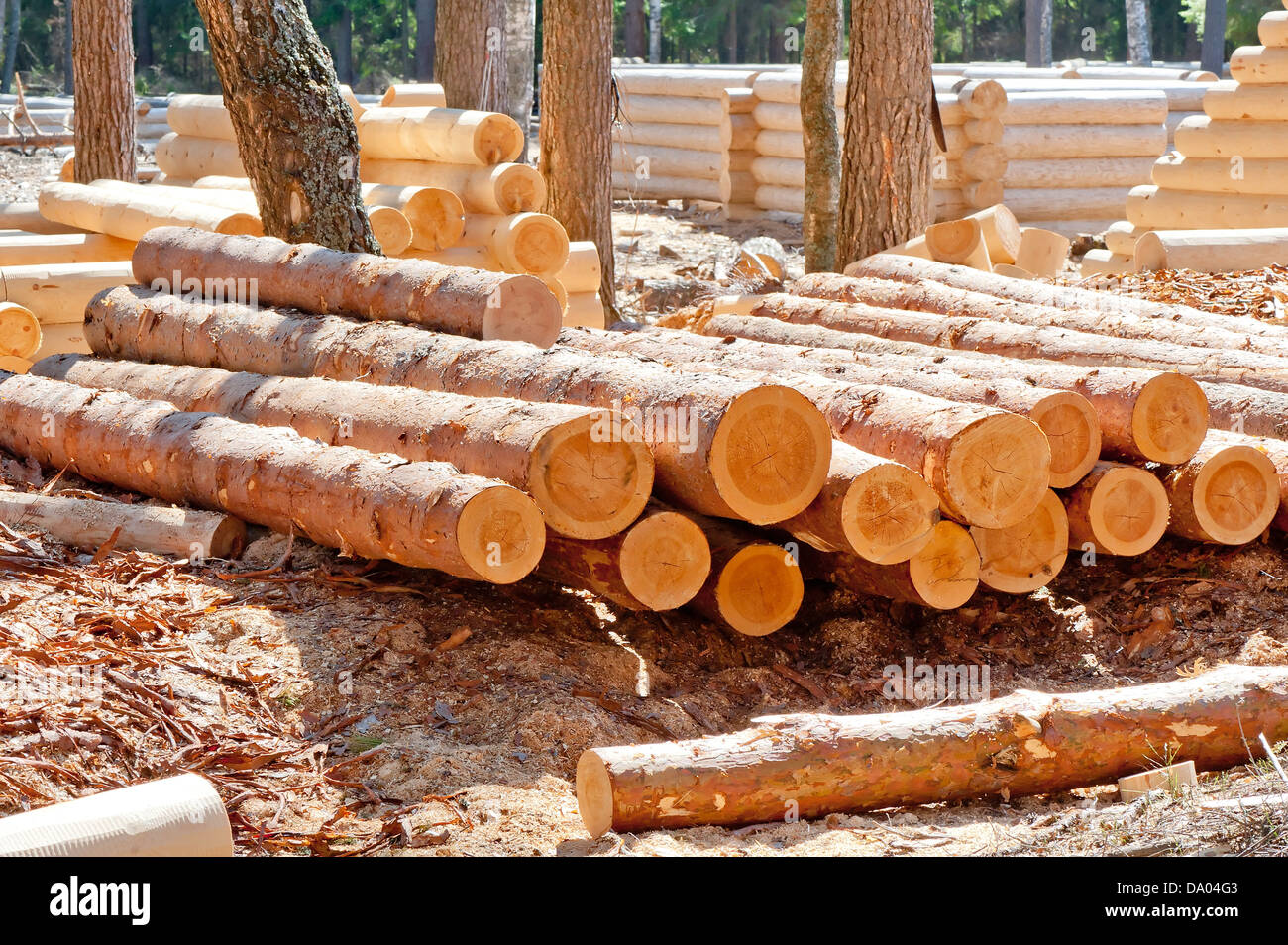 Timber cabins hi-res stock photography and images - Alamy