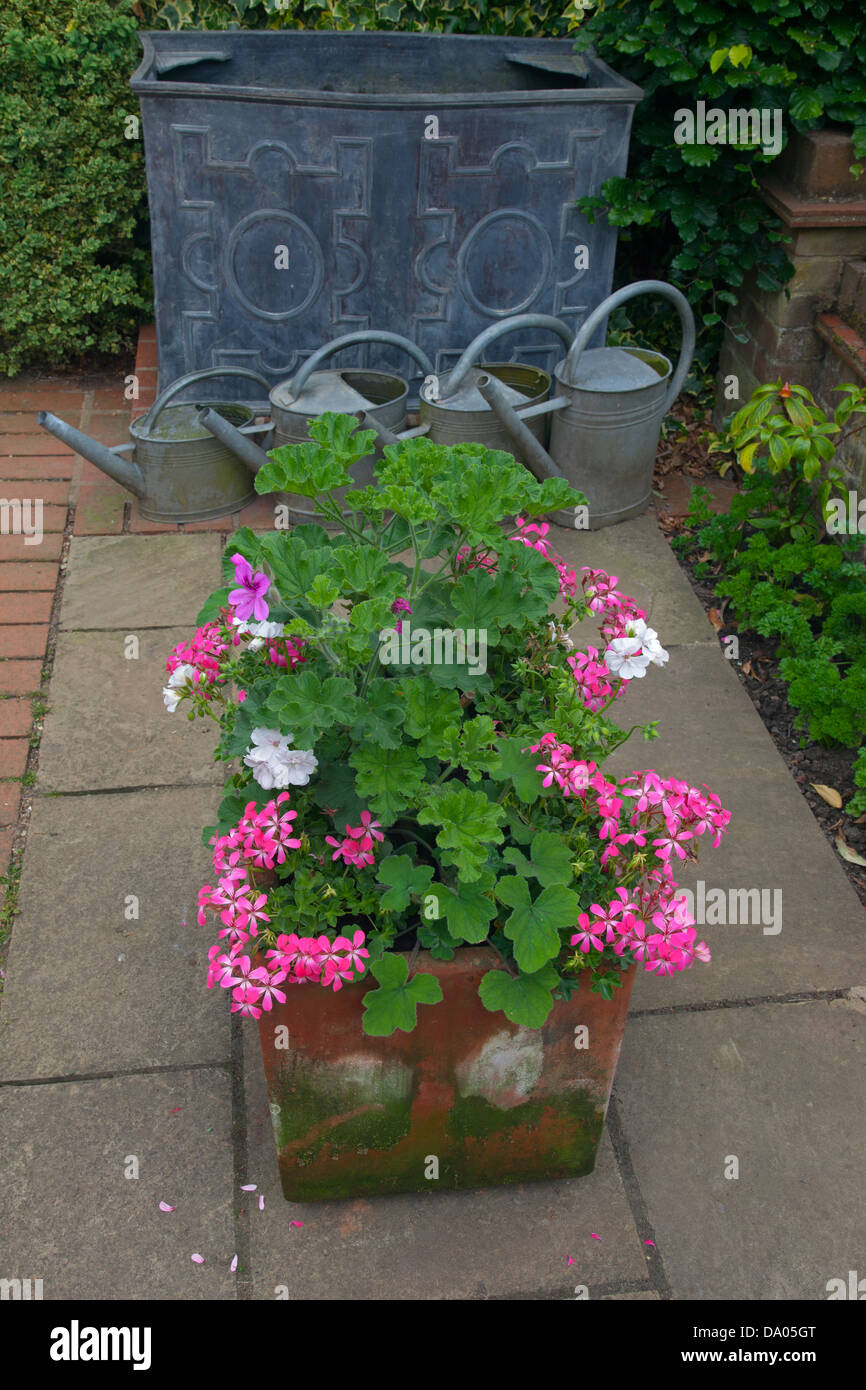 Geraniums in terracotta container with decorative water tank and