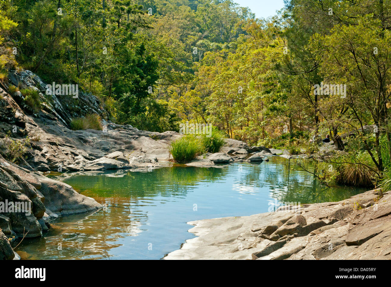 Cedar Creek, Mt Tamborine, Queensland, Australia Stock Photo Alamy