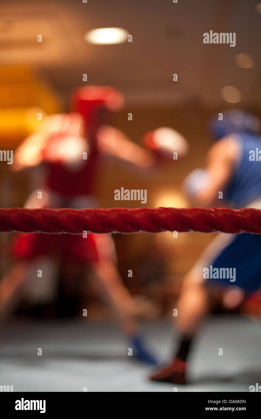 Boxers fighting in a ring Stock Photo Alamy