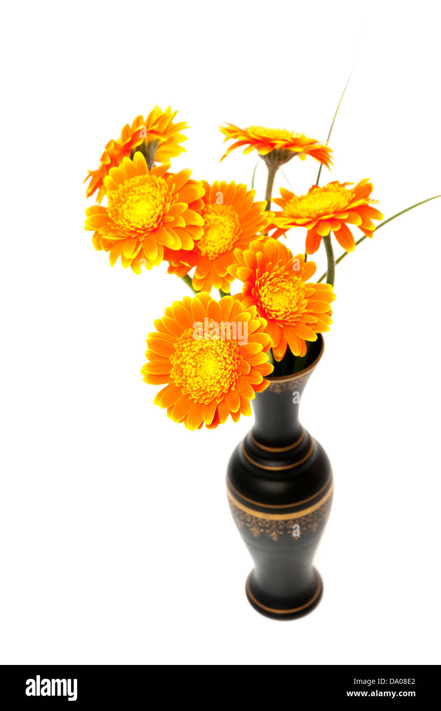 vase of orange flowers on a white background Stock Photo - Alamy