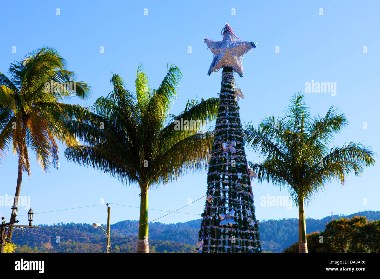 an artificial christmas tree with a large silver star on top between three palm trees - Christmas Palm Tree Pictures an artificial christmas tree with a large silver star on top between three palm trees - Christmas Palm Tree Pictures