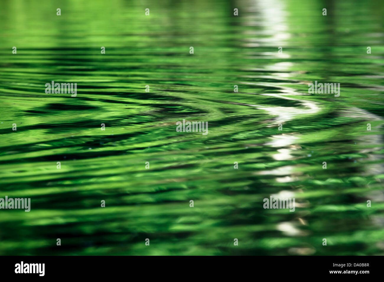 Close up of water rippling on a pond Stock Photo