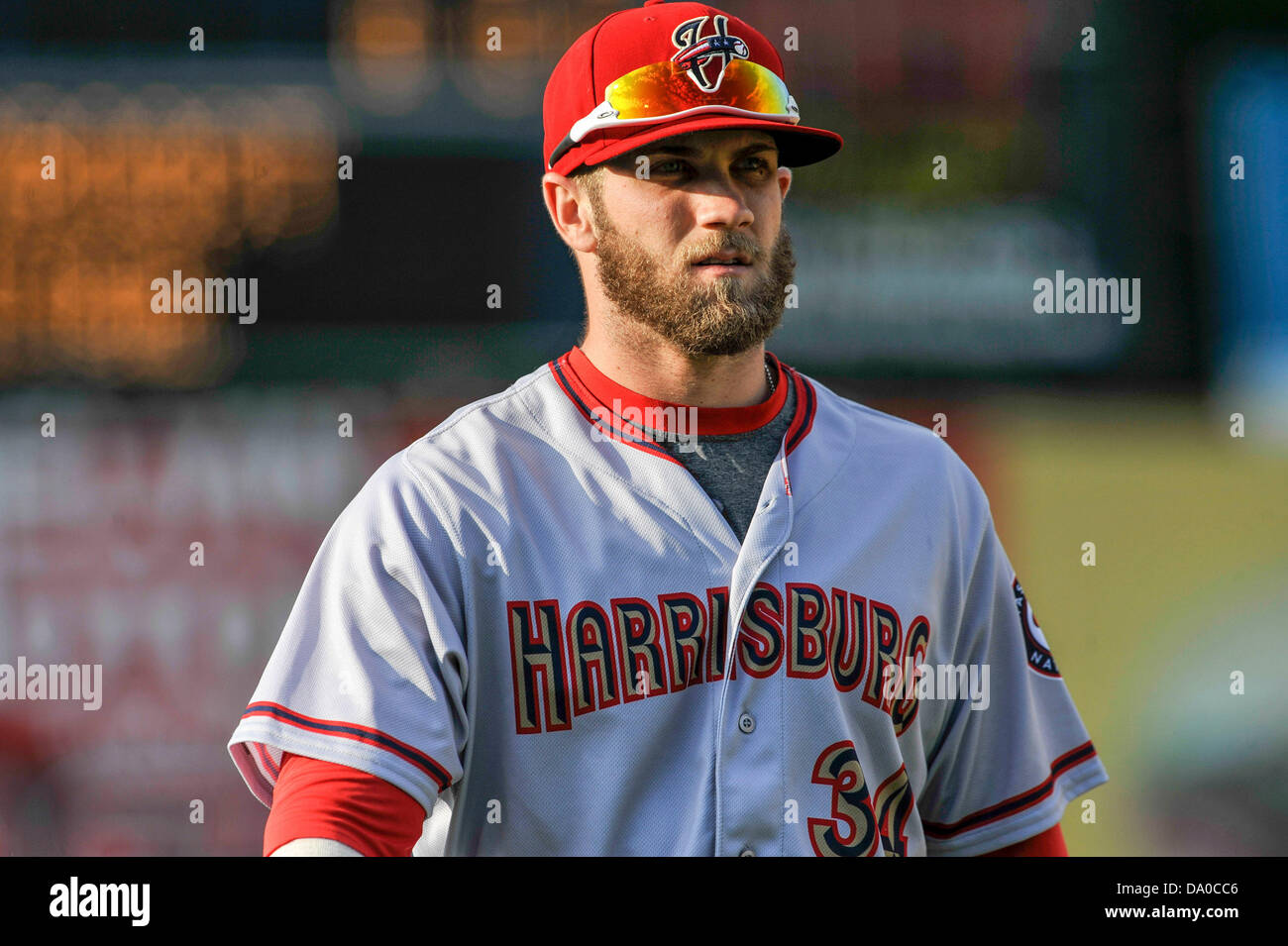 harrisburg senators jersey