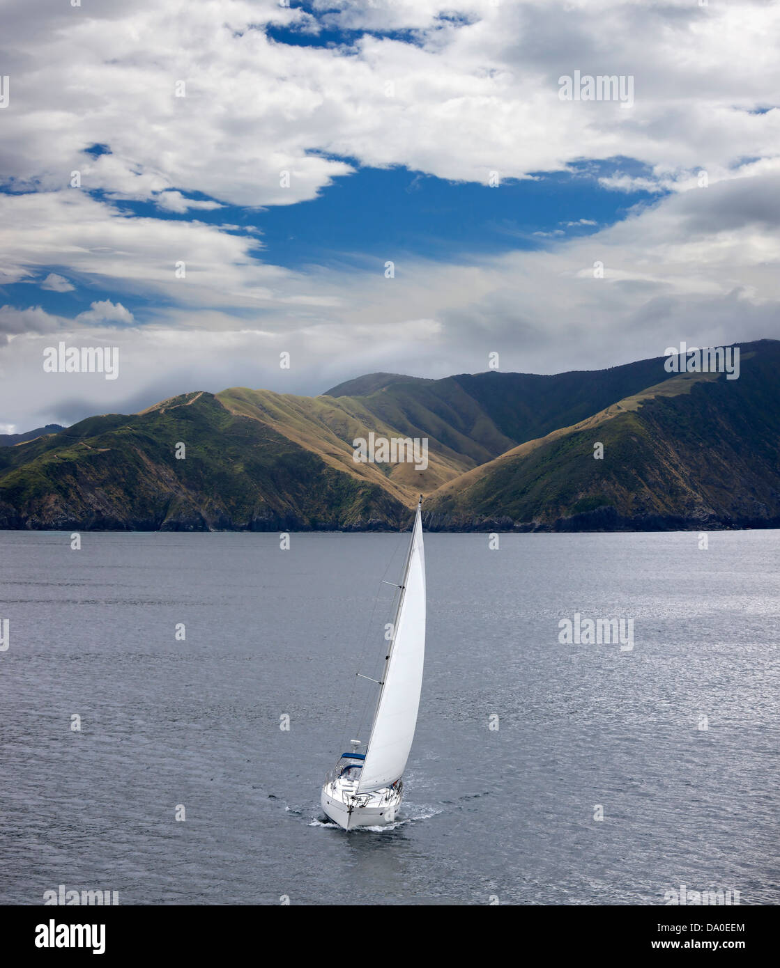 New Zealand - sailing by North Island Stock Photo