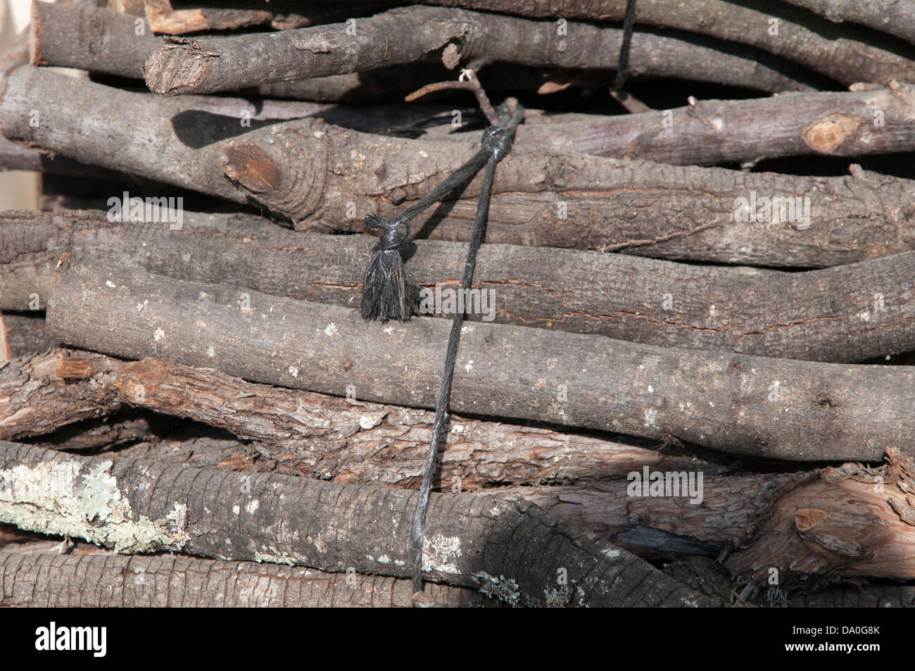 pile of logs to burn in the fire Stock Photo Alamy