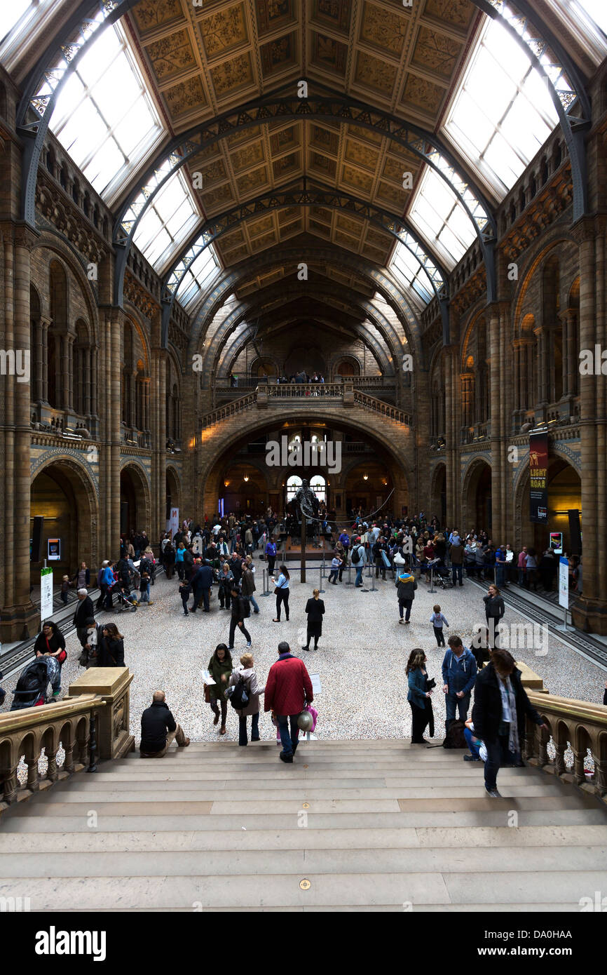 Natural History Museum in London Stock Photo