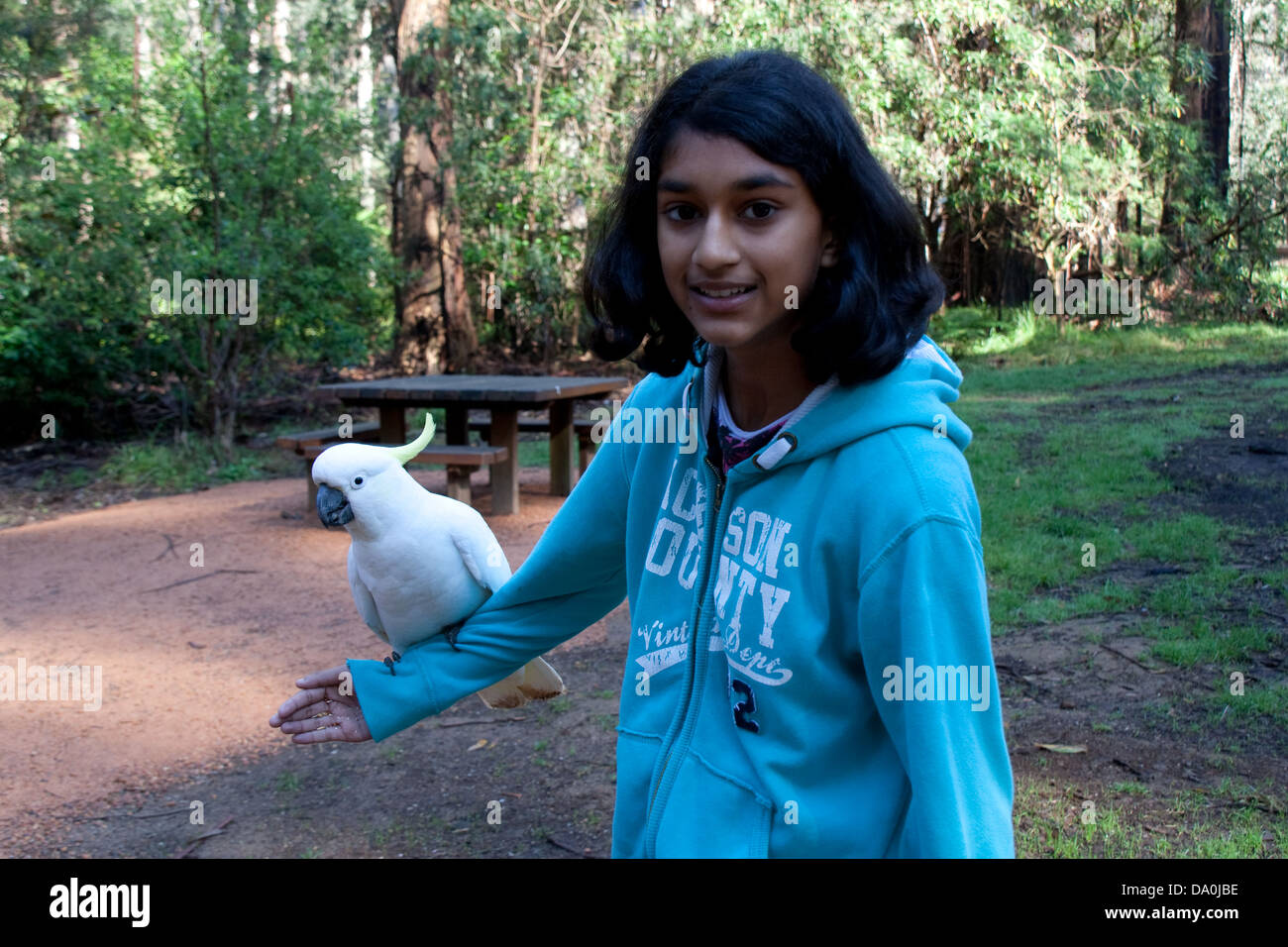 Girl with bird on hand Stock Photo