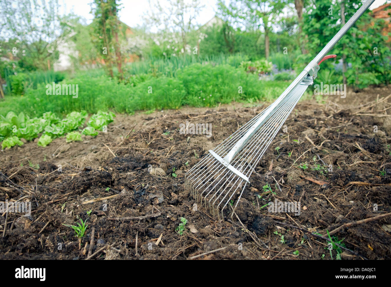 Organic Vegetable Garden Fertilization With Compost Stock Photo