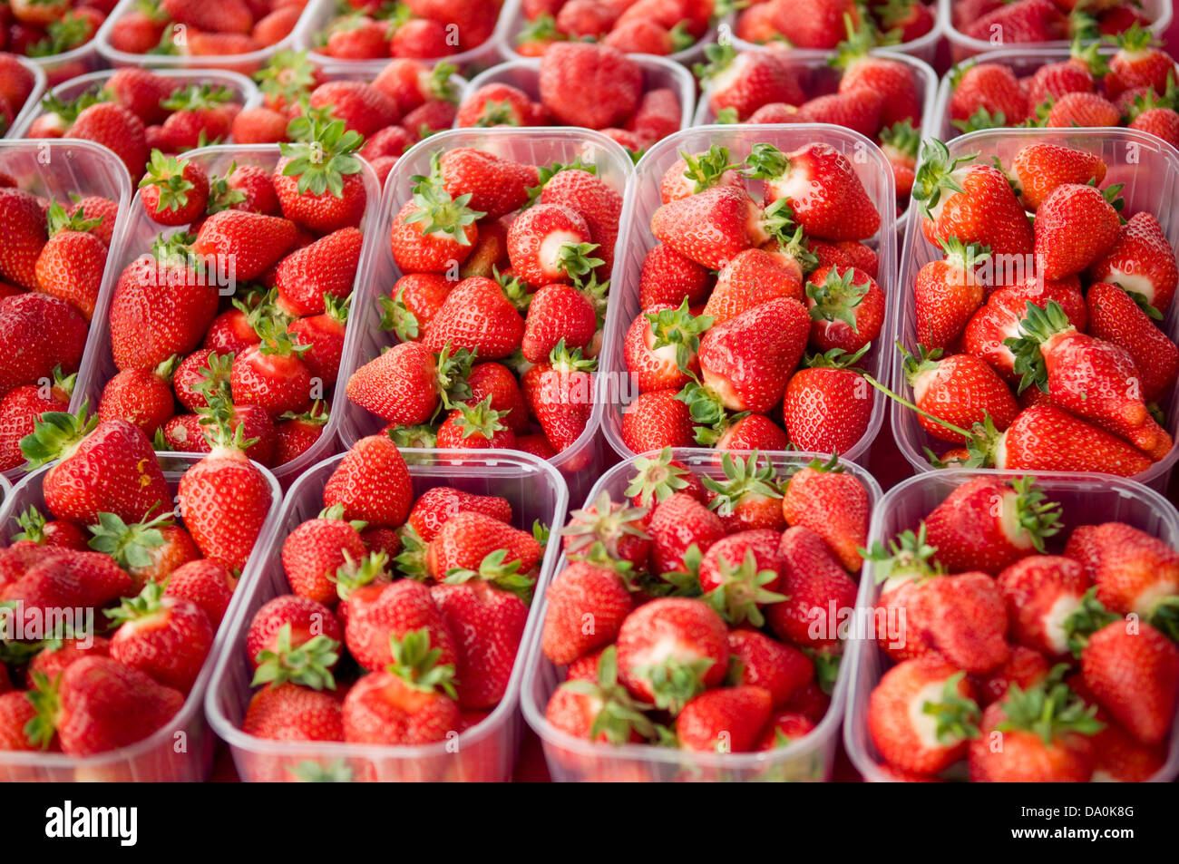 Freshly Picked Strawberries in plastic containers Stock Photo - Alamy