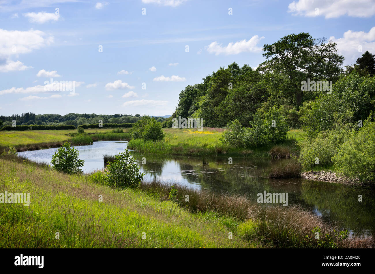 Ellerton Quarry, North Yorkshire.  Land reclamation from a former gravel pit, now managed as a nature reserve. Stock Photo
