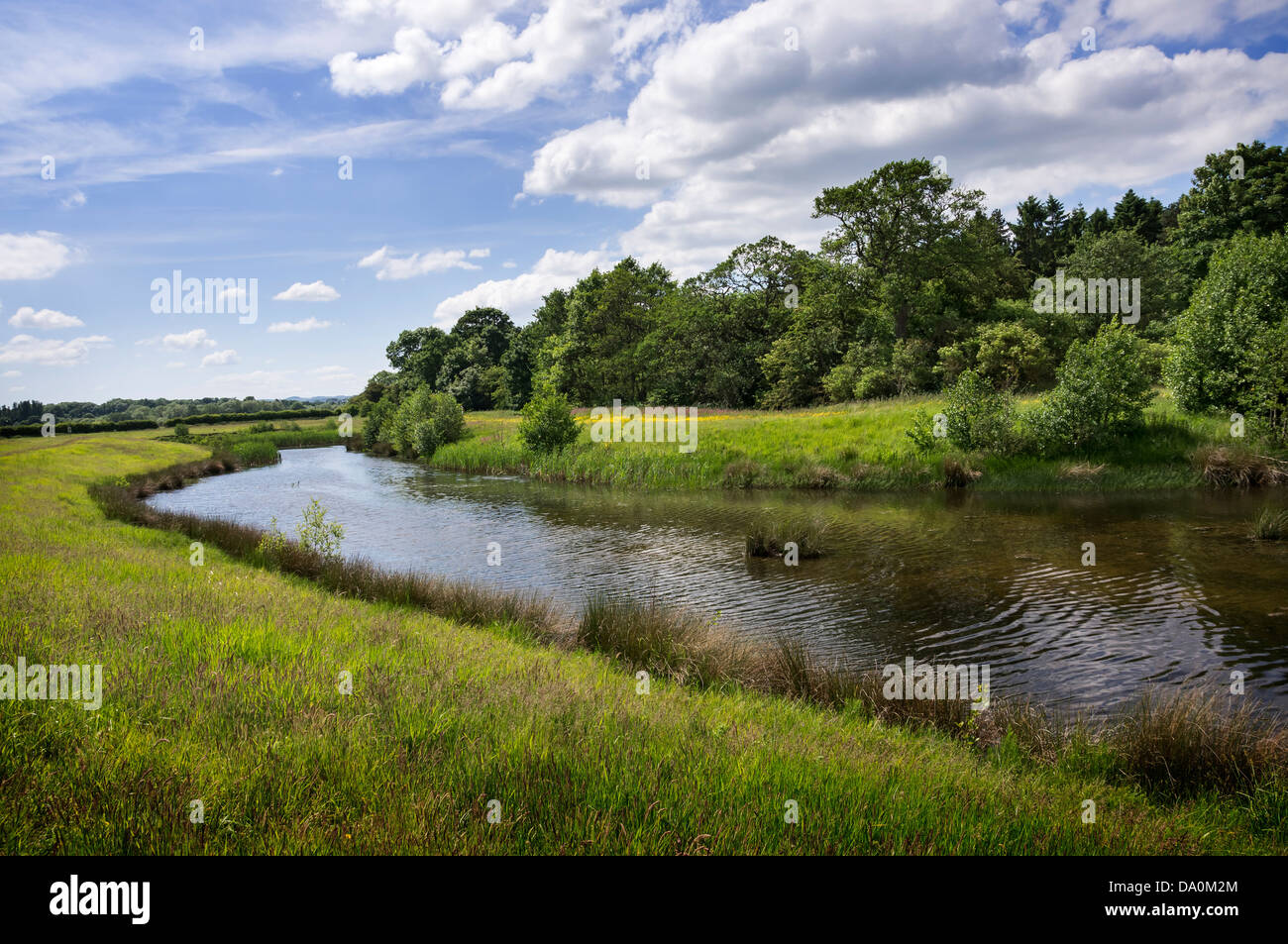 Ellerton Quarry, North Yorkshire. Land reclamation from a former gravel ...