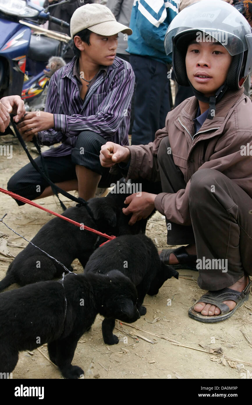 Puppies on sale to Chinese buyers at traditional hill tribe market in
