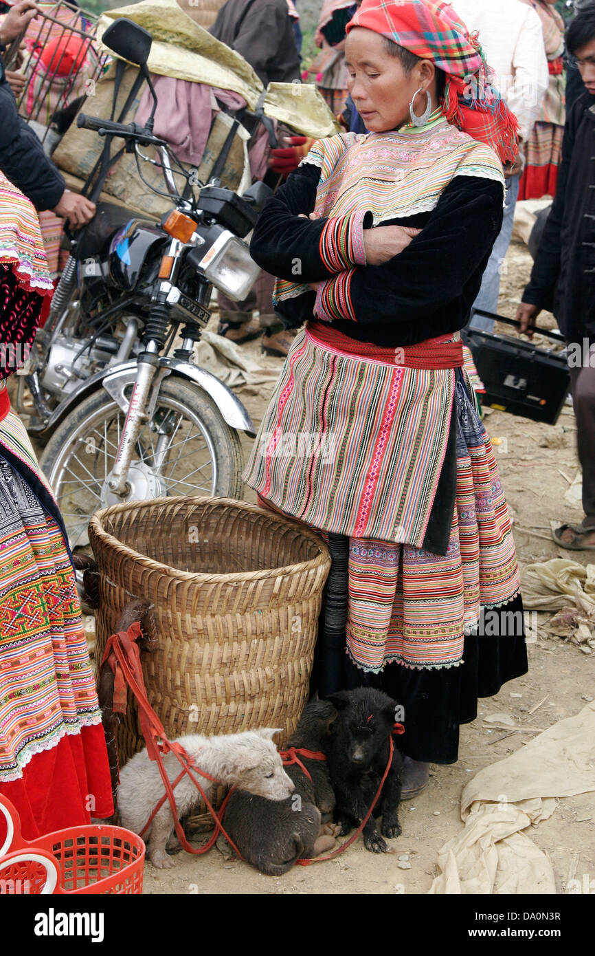 Flower Hmong woman selling dogs at the animal market in Bac Ha, Vietnam