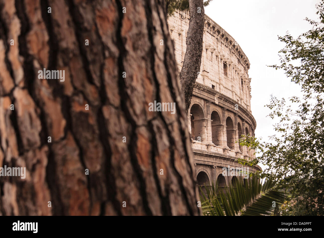A section of the Colosseum seen from the parco del colle oppio in Rome, Italy. Stock Photo