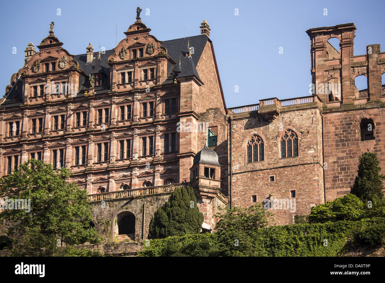 Heidelberg's renaissance castle (schloss), Germany Stock Photo