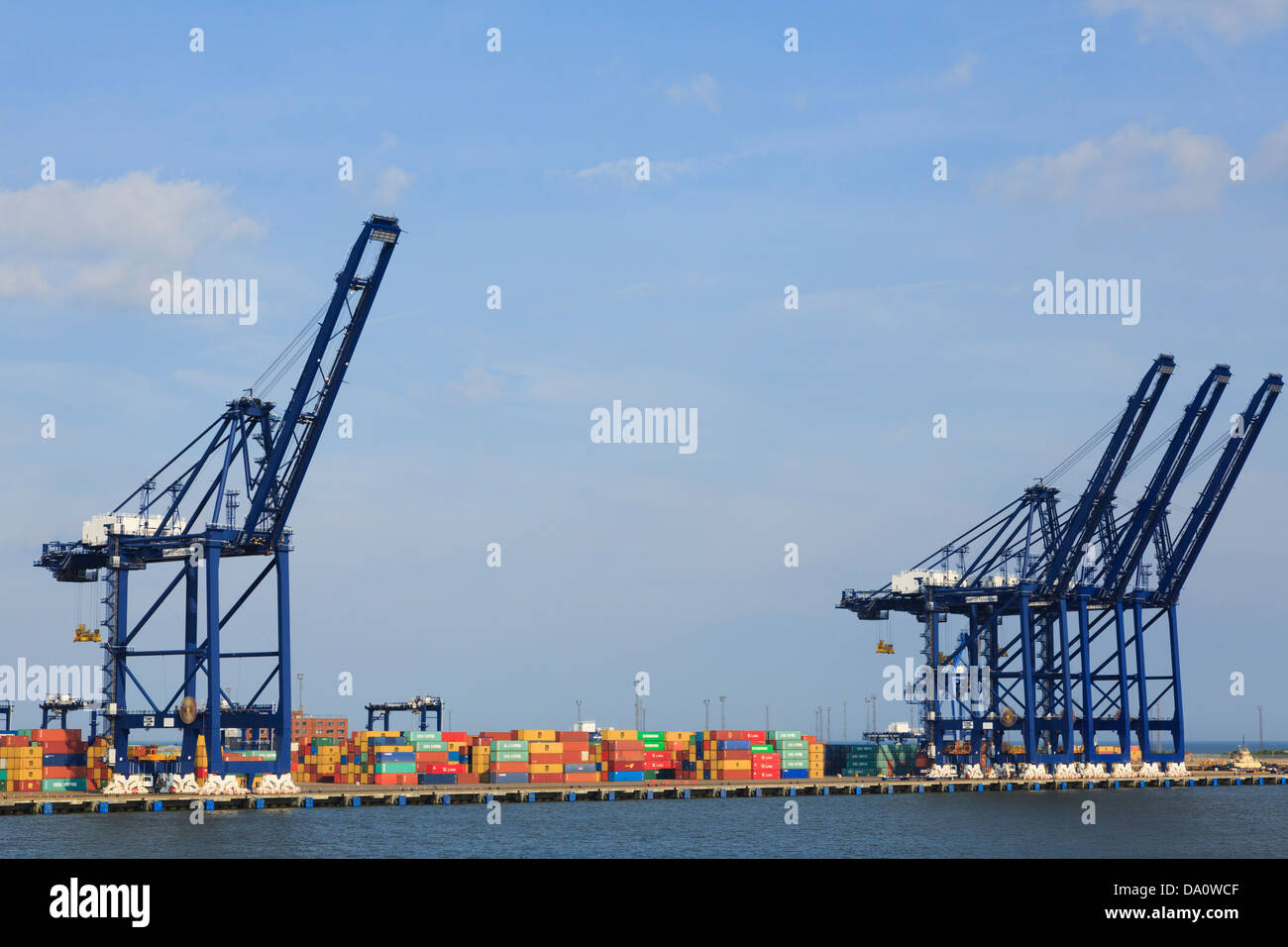 Gantry cranes for lifting containers on dockside terminal of largest container port in UK. Port of Felixstowe Suffolk England UK Britain Stock Photo