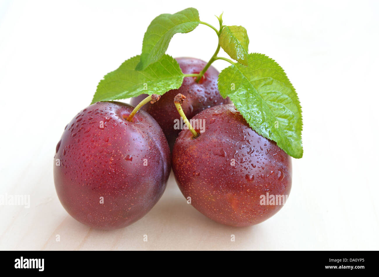 fresh plums Stock Photo