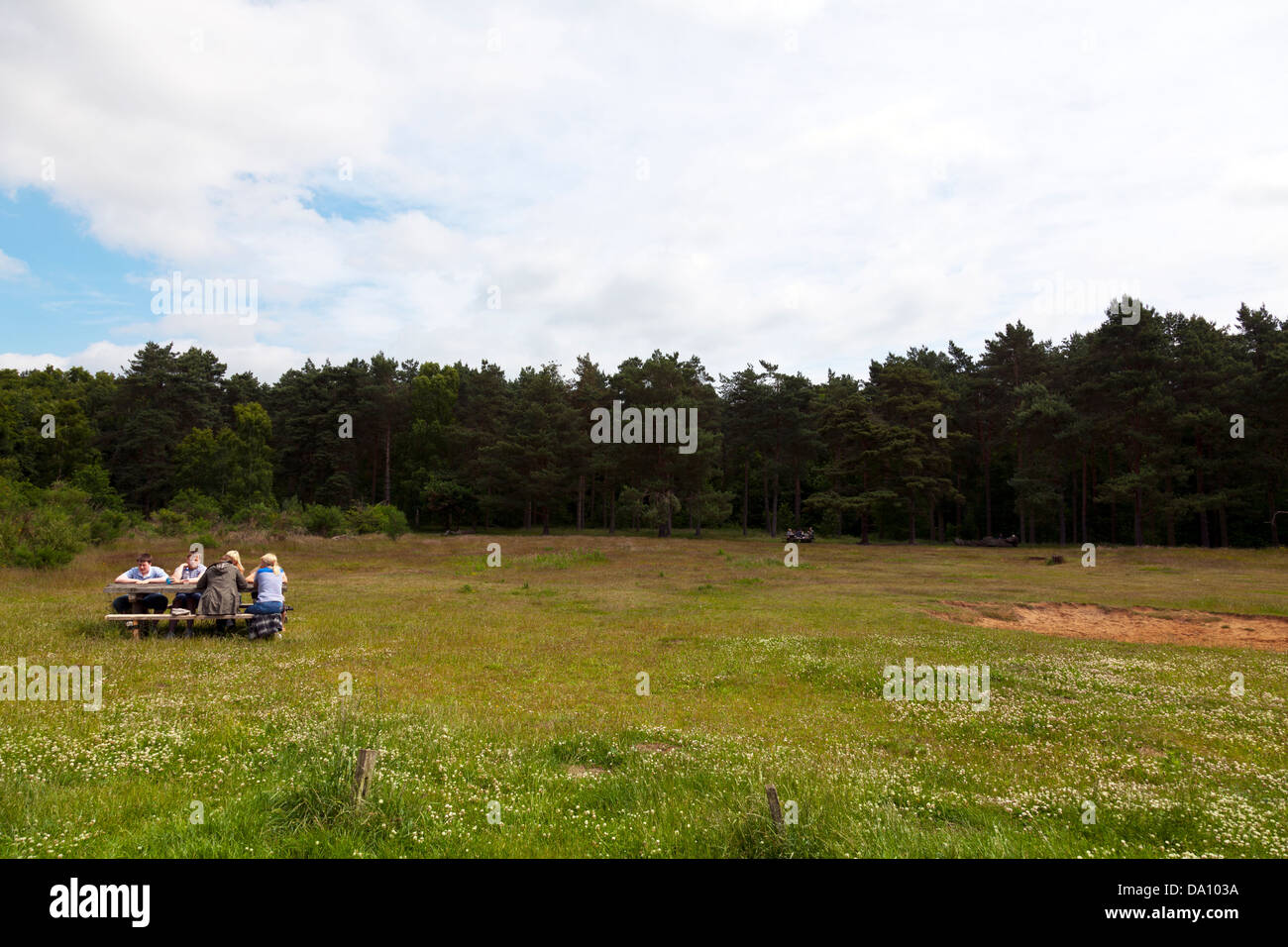 Willingham woods hires stock photography and images Alamy
