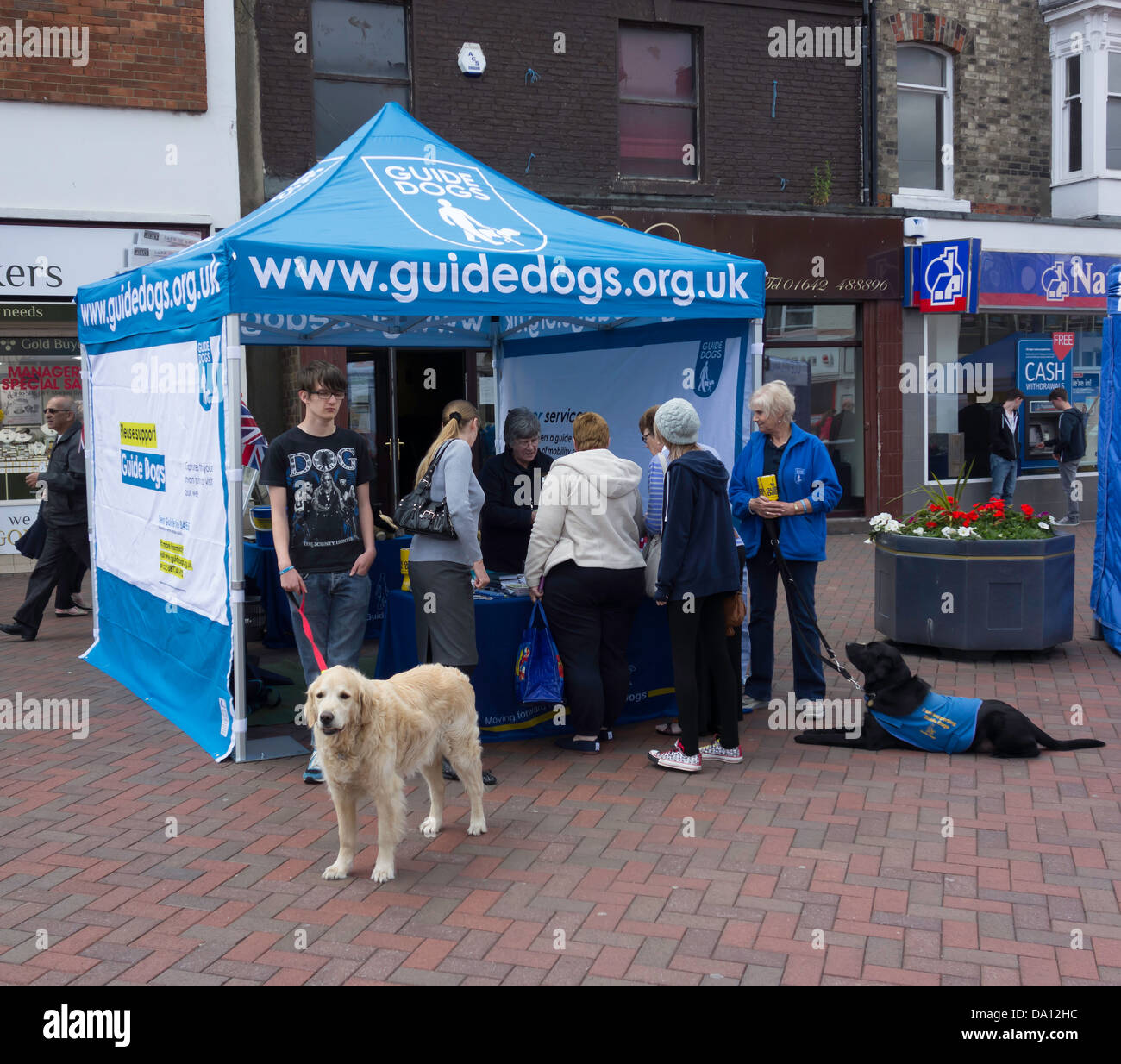Display for the Charity Guide Dogs for the blind on a small town High Street in Summer Stock Photo
