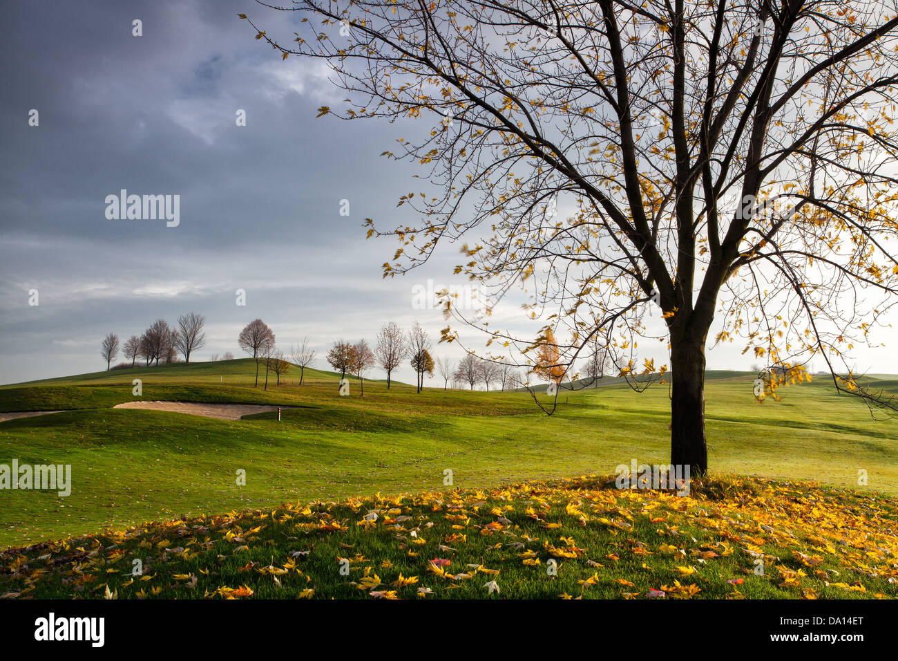 Course of the seasons hi-res stock photography and images - Alamy