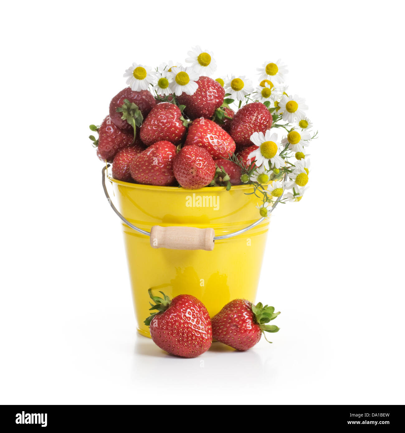 Yellow flower strawberries hi-res stock photography and images - Alamy