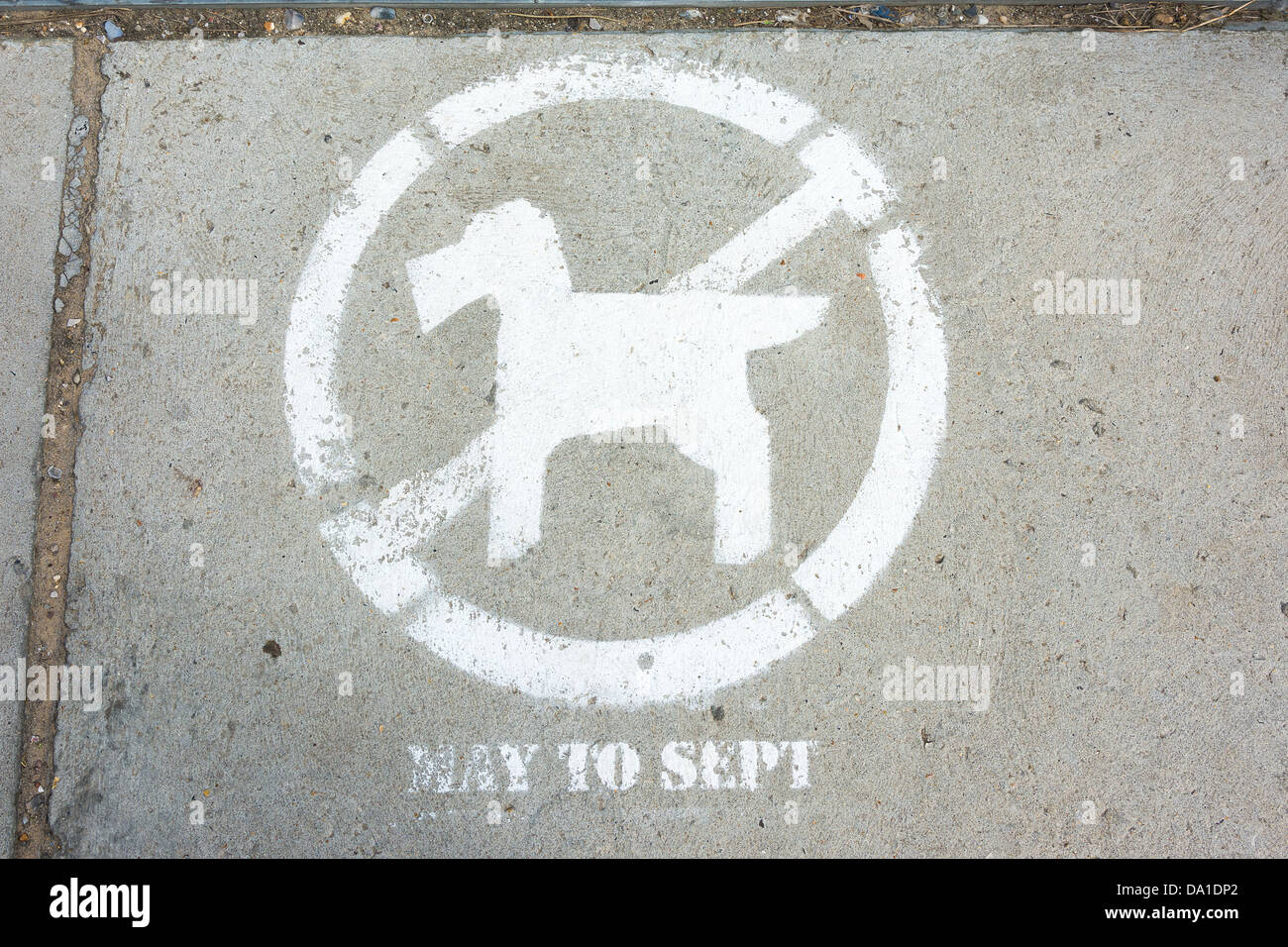 Pavement with no-dog restriction sign Stock Photo