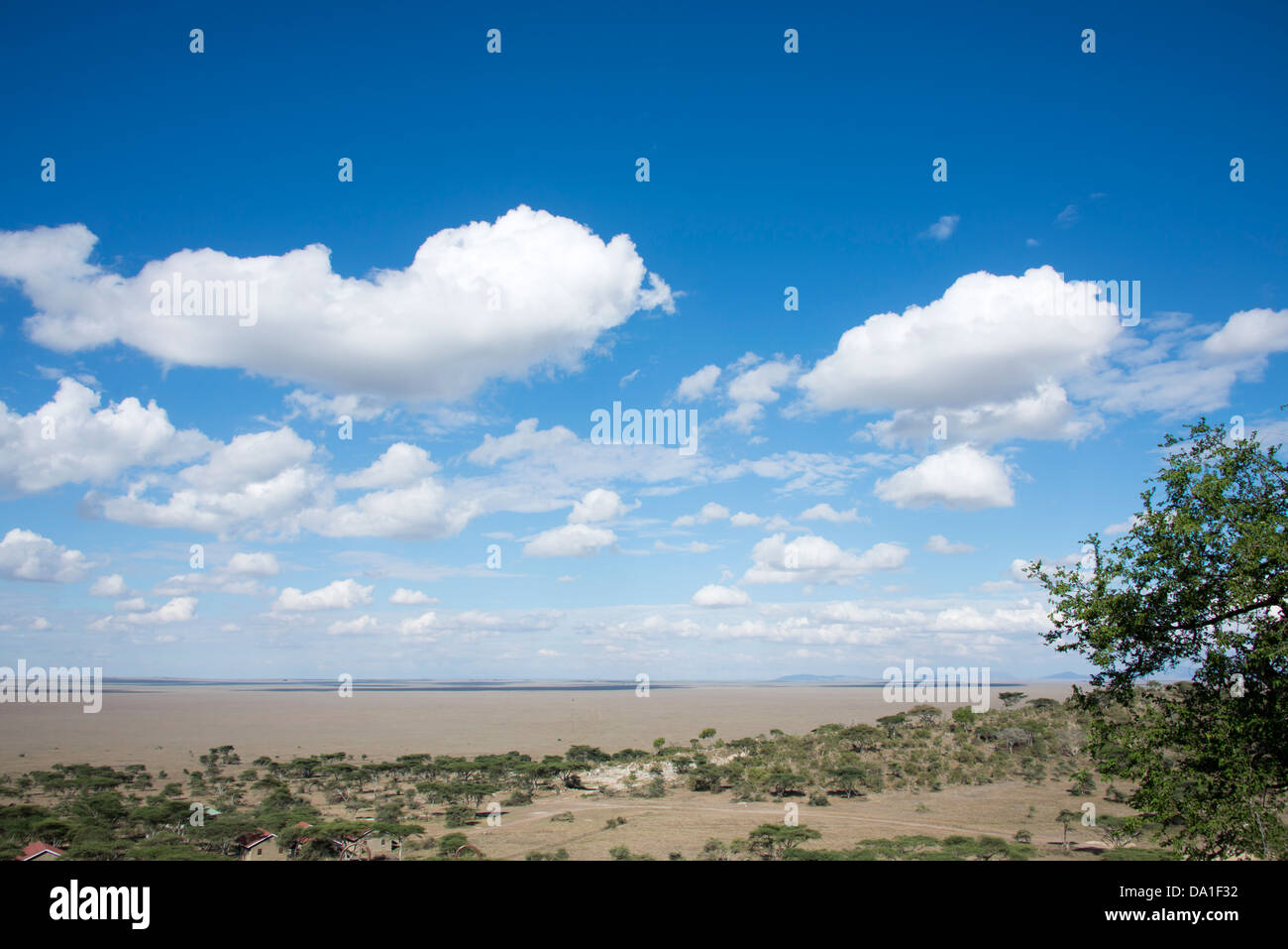 The Serengeti Plains, Serengeti National Park, United Republic of Tanzania, East Africa. Stock Photo