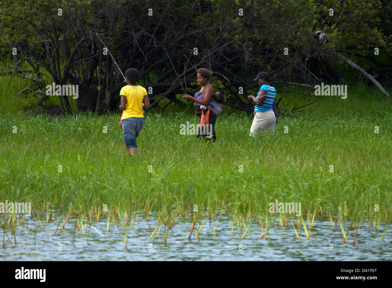 People fishing in reeds by Zambezi River, just above, Victoria Falls, Zimbabwe, Southern Africa Stock Photo