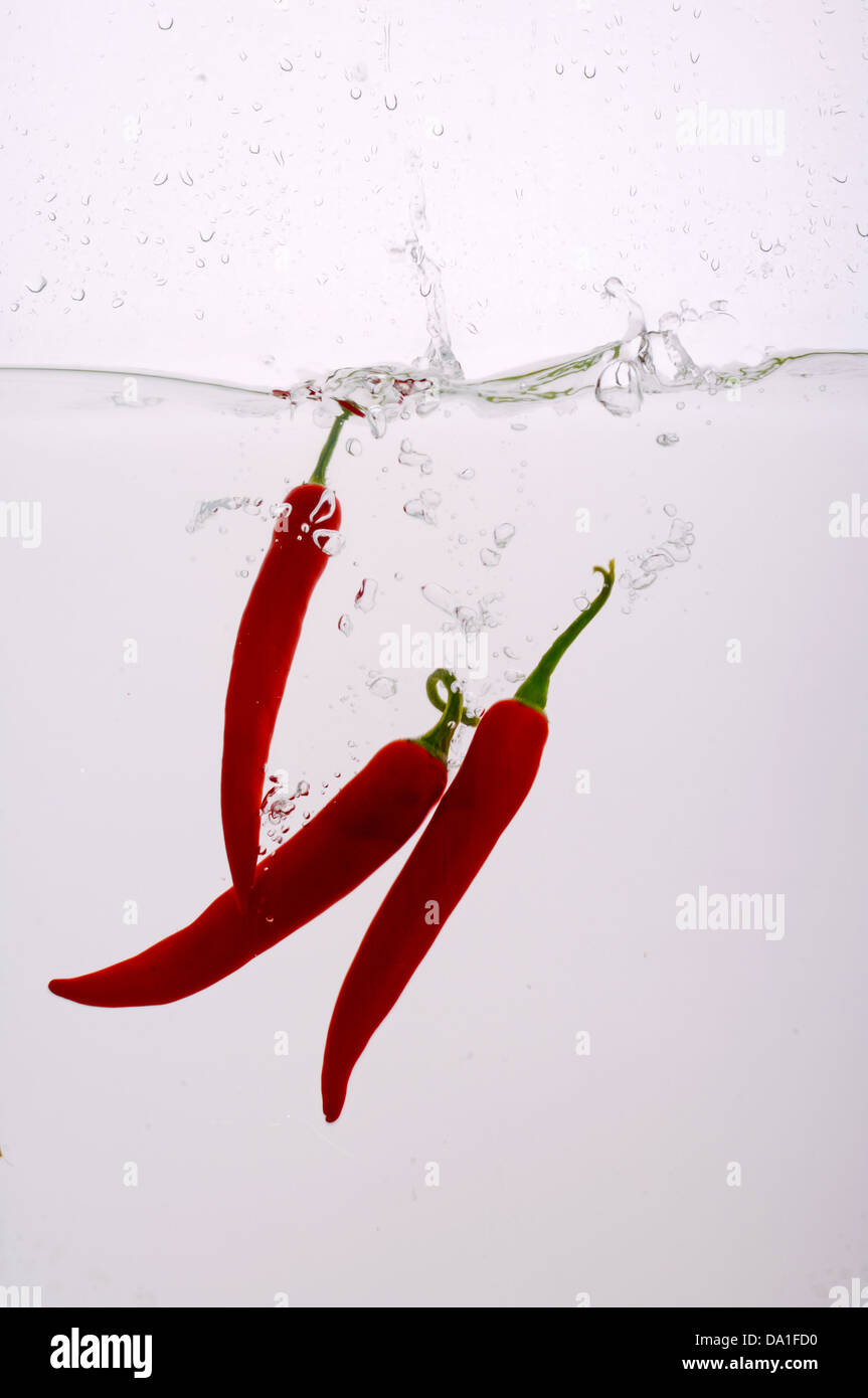 Chili pepper splashed into water Stock Photo Alamy