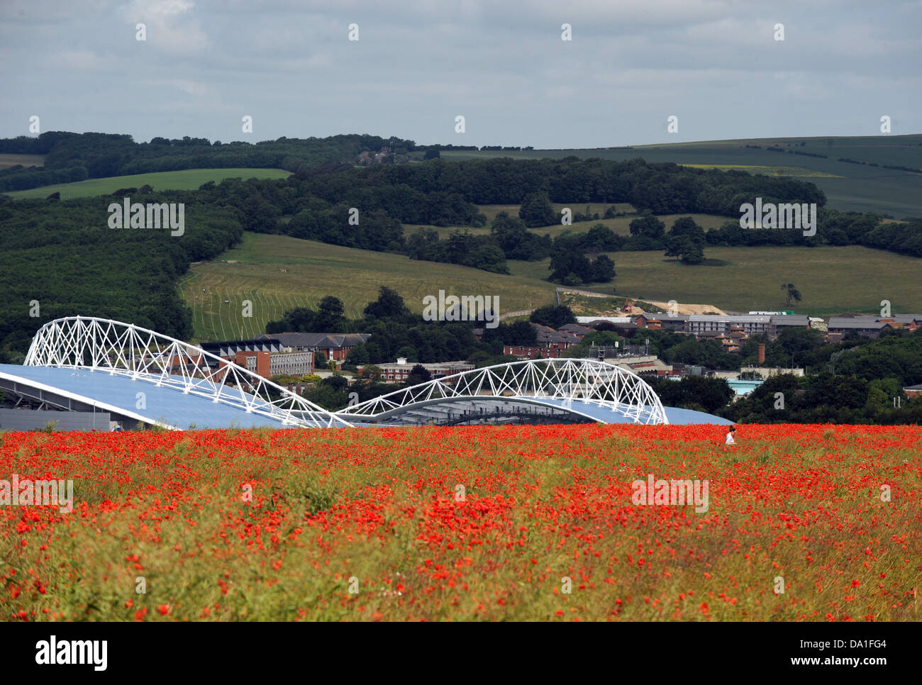 Fields of poppies and wild flowers just north of Brighton near the American Express Community Stadium home of Brighton and Hove Stock Photo