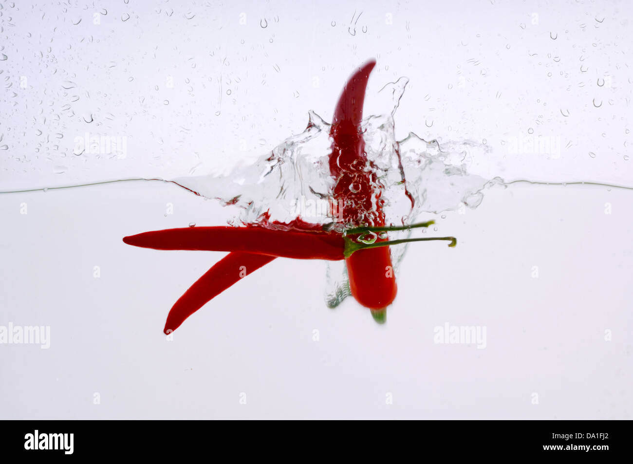 Chili pepper splashed into water Stock Photo Alamy