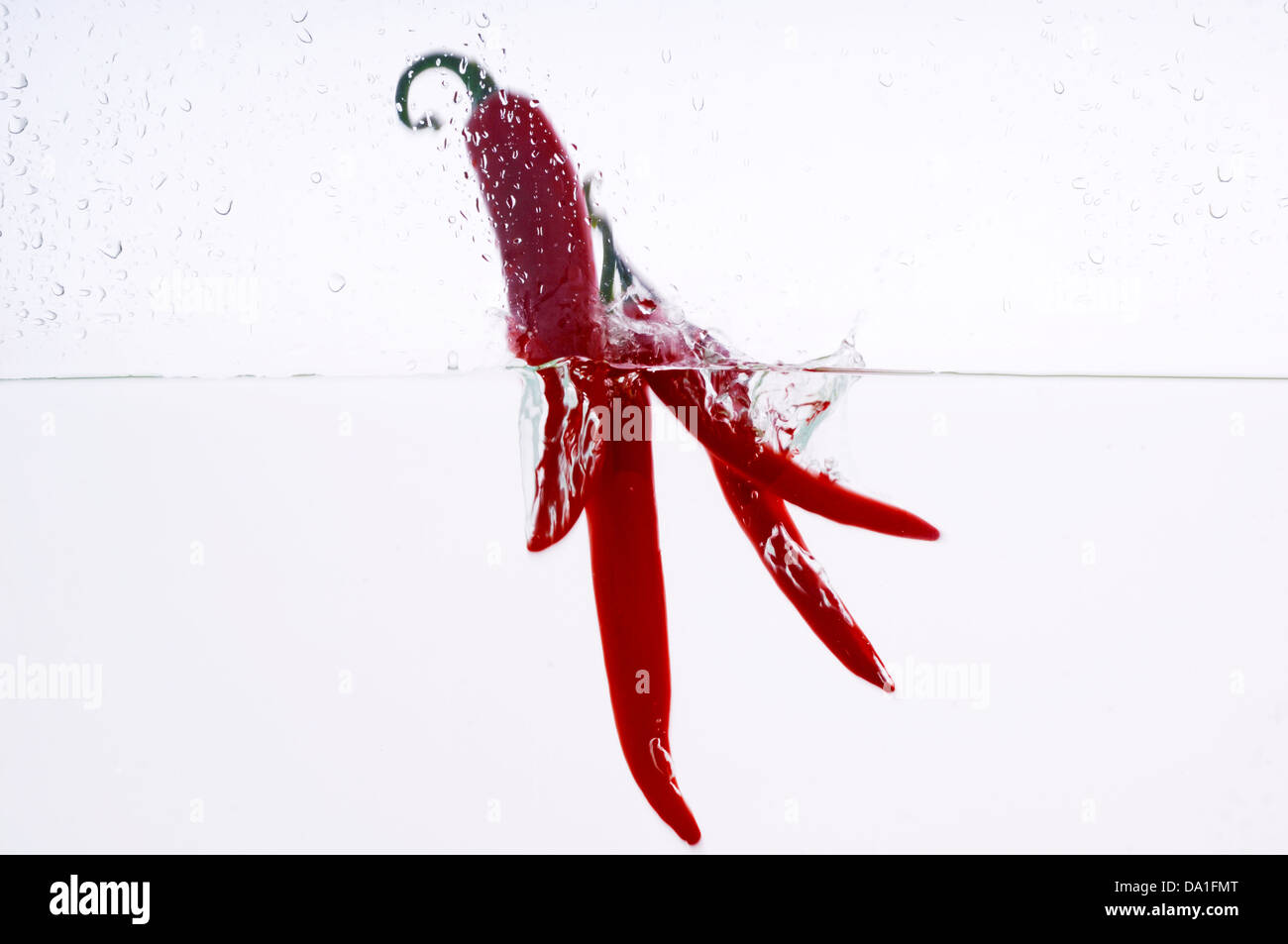 Chili pepper splashed into water Stock Photo Alamy