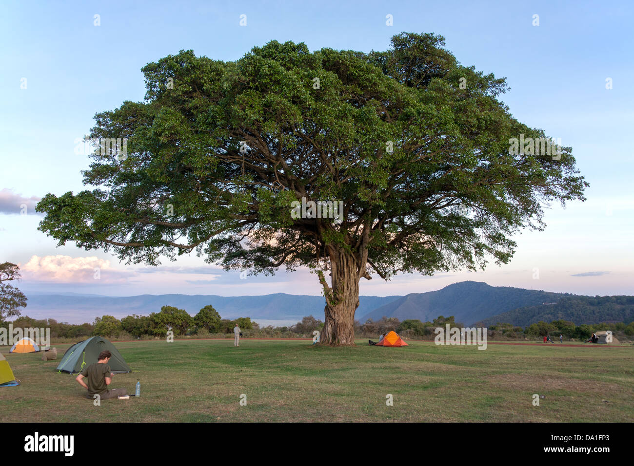 Campsite, Ngorongoro Conservation Area, United Republic of Tanzania, East Africa. Stock Photo