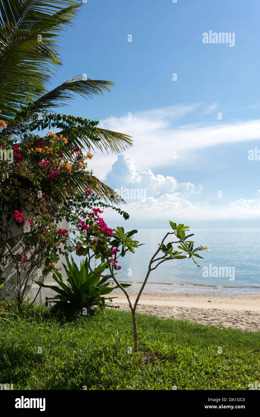 View onto the beach from Stone Town, Zanzibar, United Republic of Tanzania, East Africa. Stock Photo