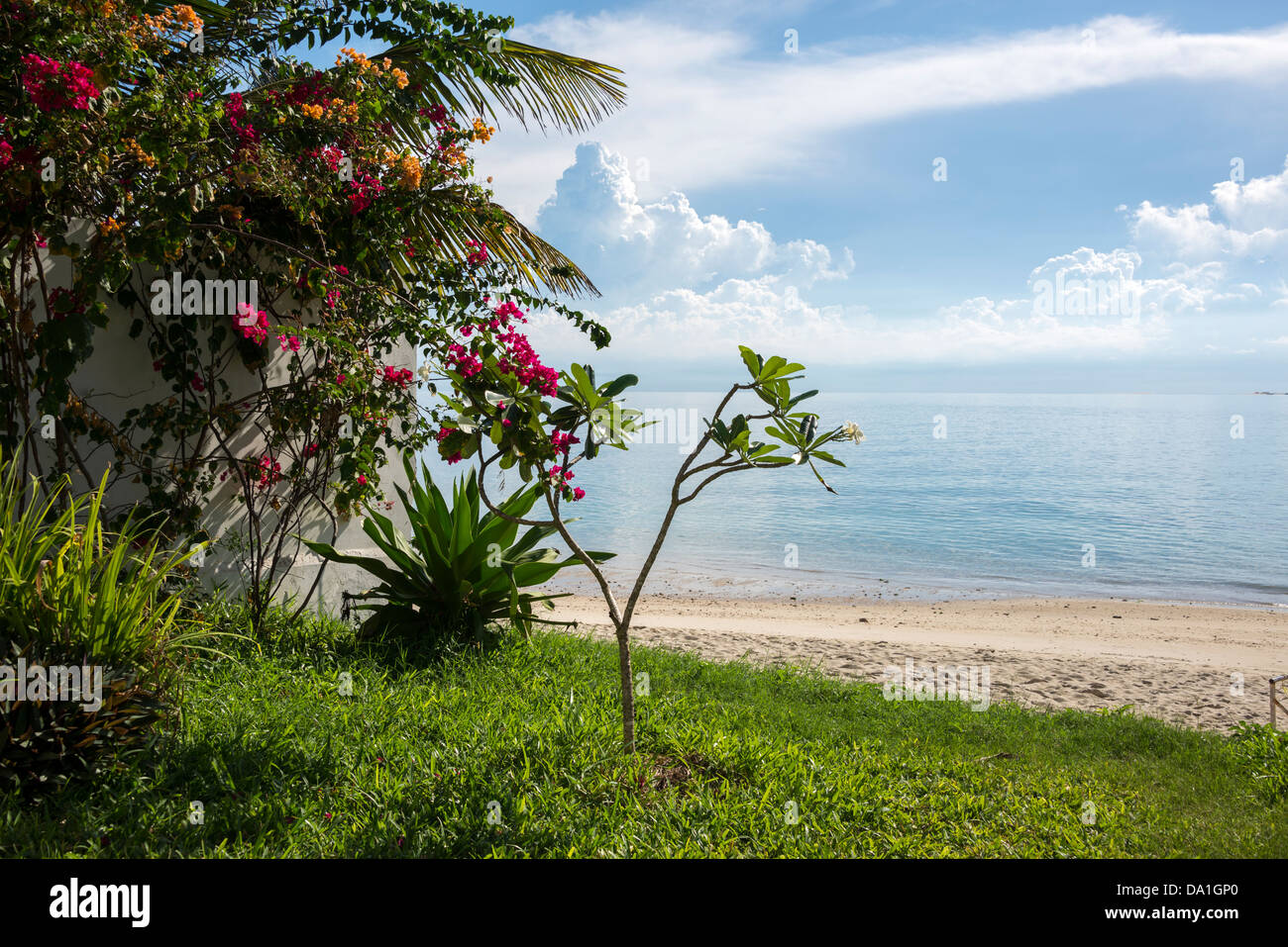 View onto the beach from Stone Town, Zanzibar, United Republic of Tanzania, East Africa. Stock Photo