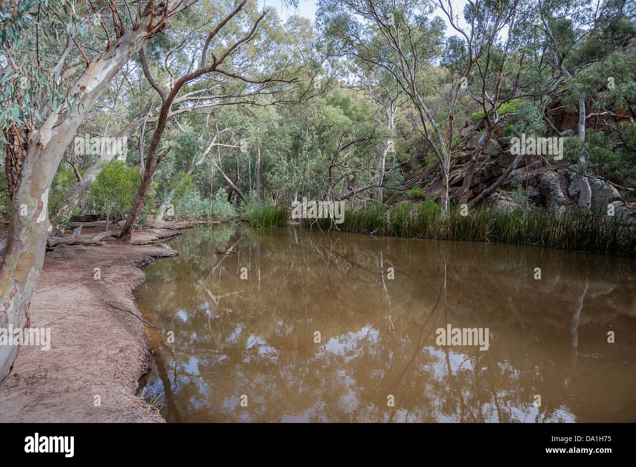 A billabong (water hole) near Wilpena Pound in the ruggedly beautiful