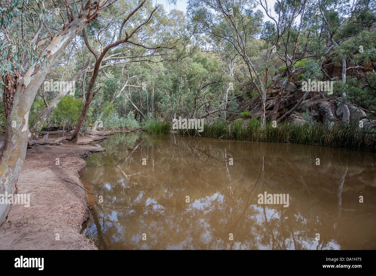 A billabong (water hole) near Wilpena Pound in the ruggedly beautiful  Flinders Ranges in the Australian outback Stock Photo - Alamy