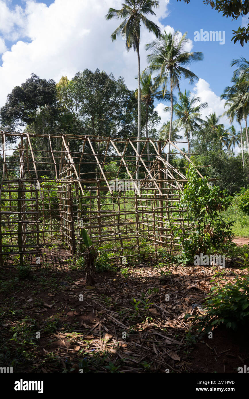 The pole frame of a traditional mud hut. The Spice Plantation, Zanzibar, United Republic of Tanzania, East Africa. Stock Photo