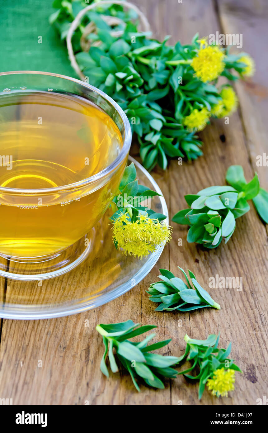 Healing herbal tea in a glass cup, flowers Rhodiola rosea, green napkin ...