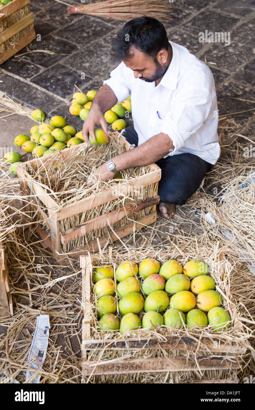 Mangoes in Crawford Market, Mumbai, India Stock Photo Alamy