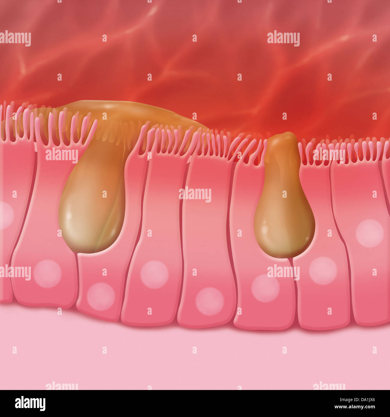 SINUSITIS, DRAWING Stock Photo