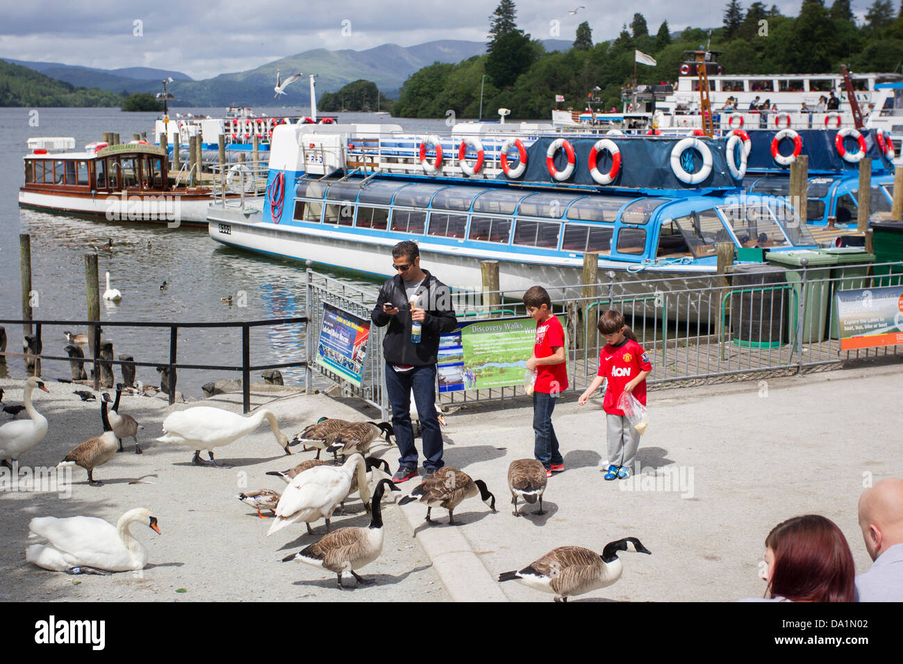 Bowness on Windermere, Cumbria, UK. 1st July 2013. Bowness bay on Lake Windermere. Swans & geese being feed with passenger cruise boats in the background Credit:  Shoosmith Collection/Alamy Live News Stock Photo