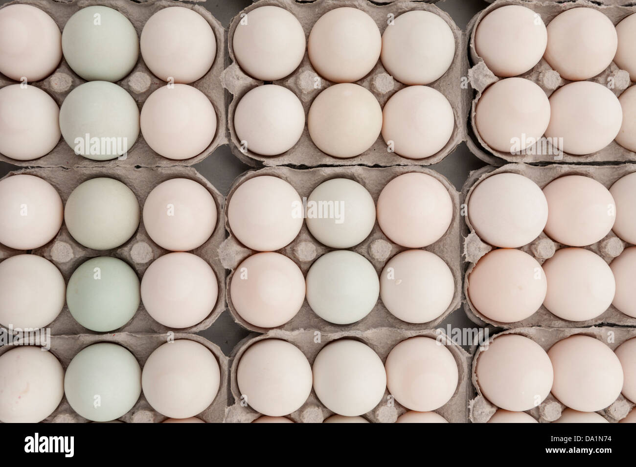 Duck Egg Cartons Royalty-Free Images, Stock Photos & Pictures
