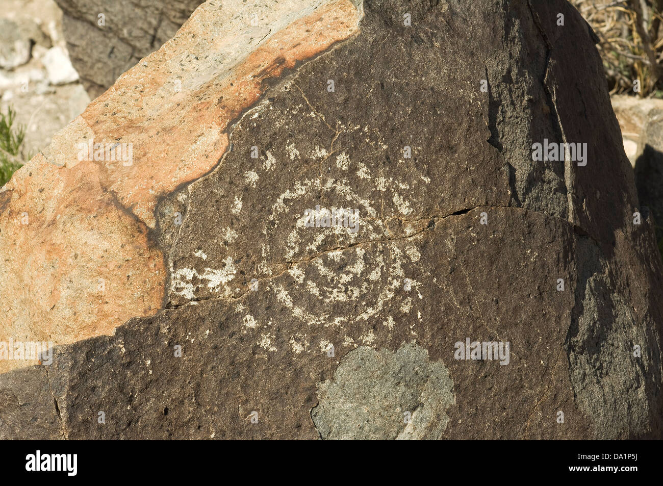 Pecked whorl Jornada-Mogollon petroglyphs at Three Rivers site, New Mexico. Digital photograph Stock Photo