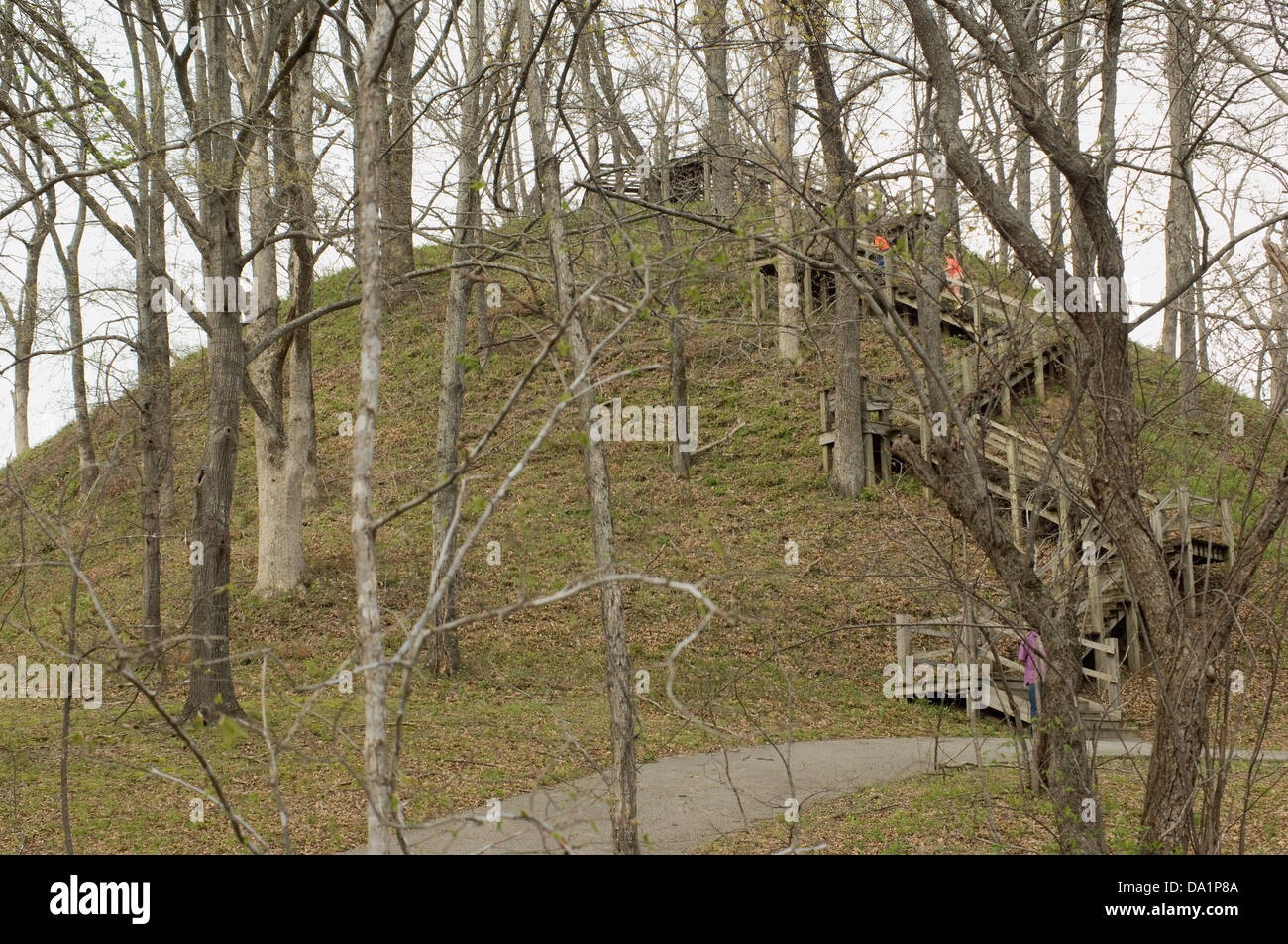 Stairway up Saul's Mound, Pinson Mounds State Park, Tennessee. Digital photograph Stock Photo