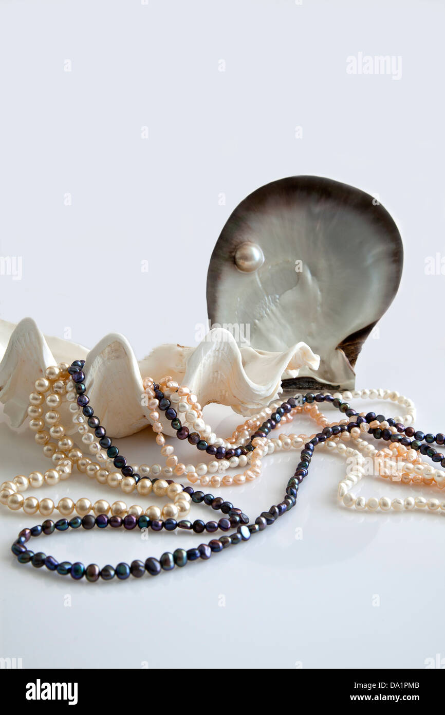 Shells and pearls. Stock Photo