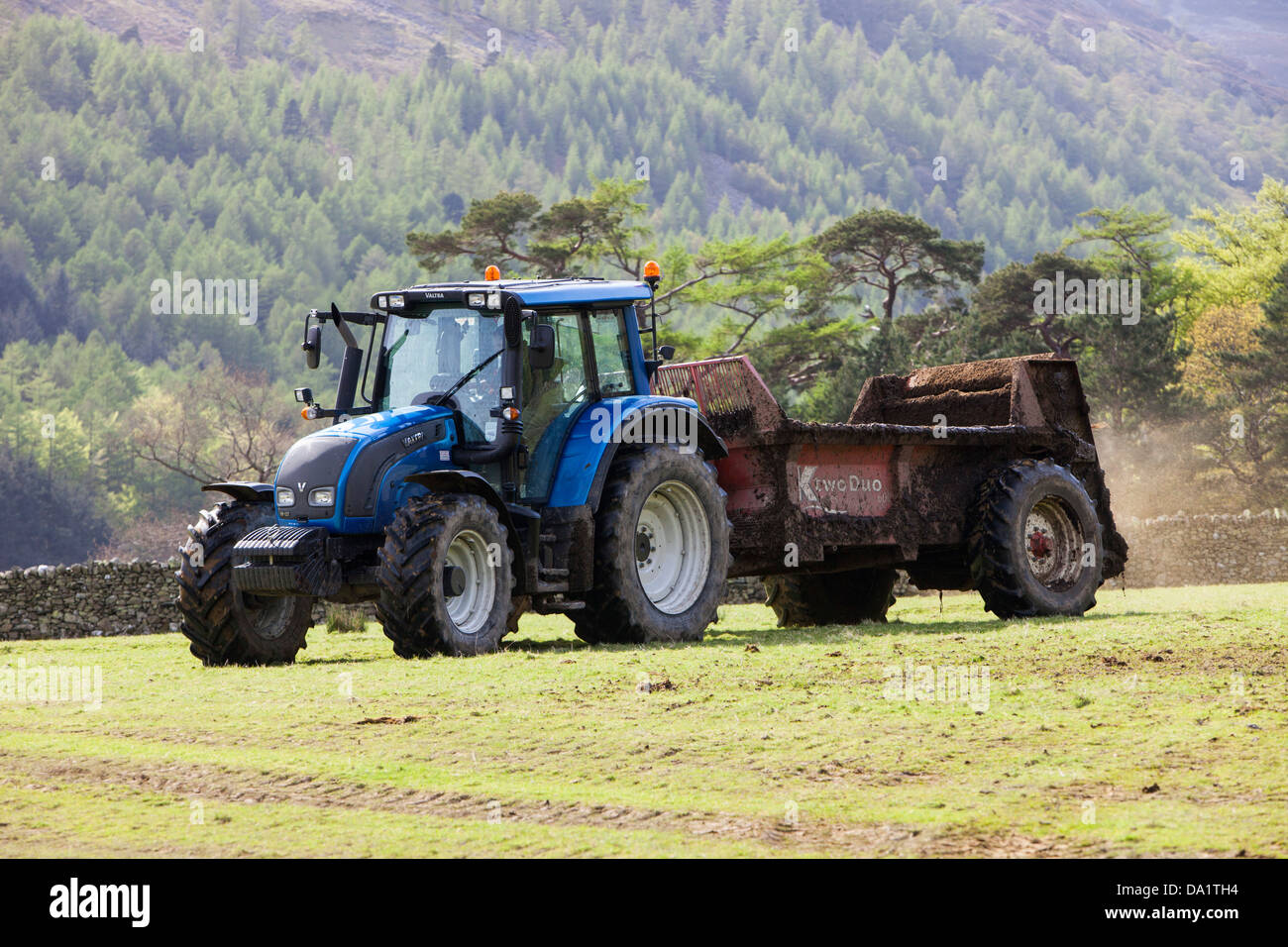 A farmer spreading cow muck on a field in Buttermere, Lake District, UK Stock Photo Alamy