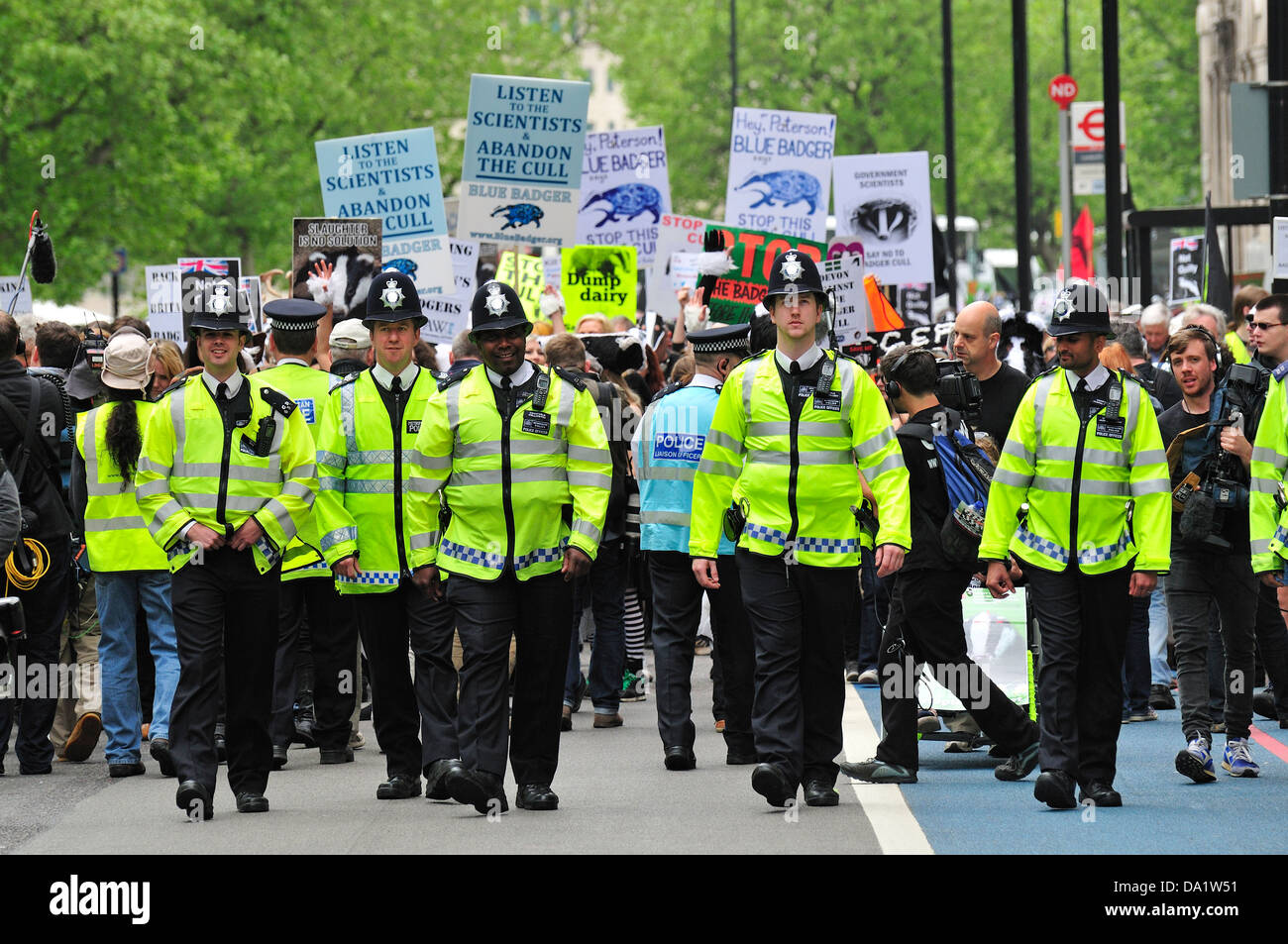 Metropolitan Police officers at the National March Against the Badger Cull, Saturday 1st June 2013 Stock Photo